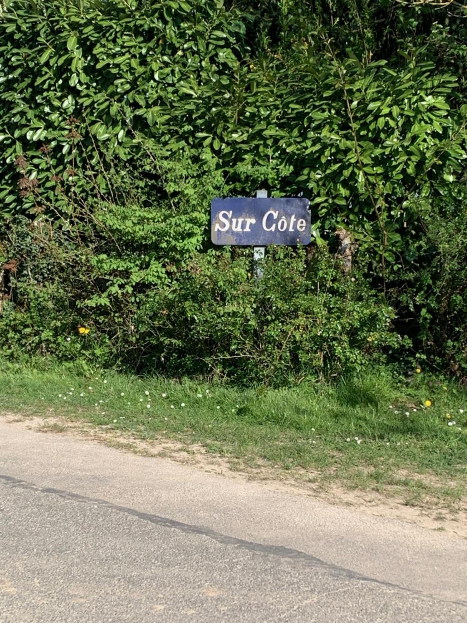 Sur Cote En Dombes Villa Villette-sur-Ain Екстериор снимка